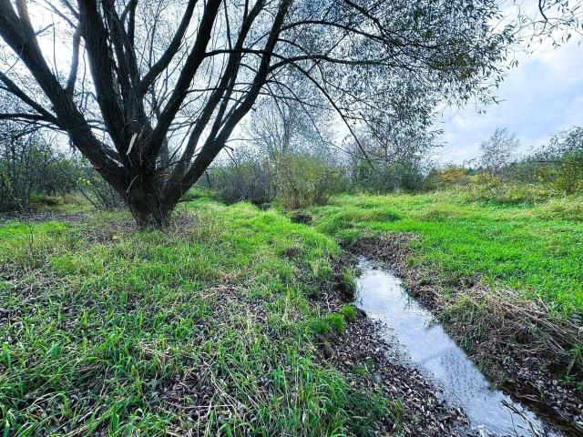 Land for sale in Wisconsin