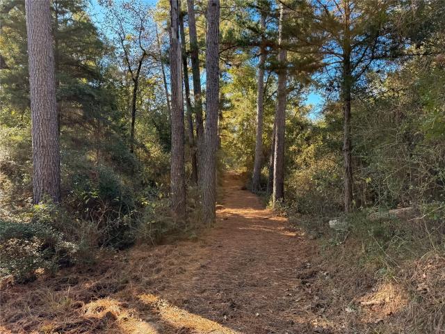 Land for sale in Leon, Texas