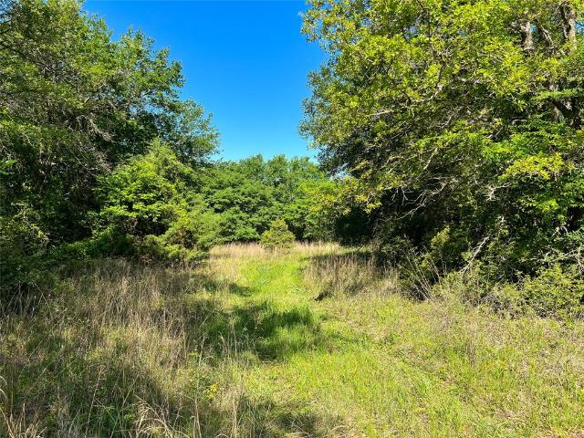 Land for sale in Leon, Texas
