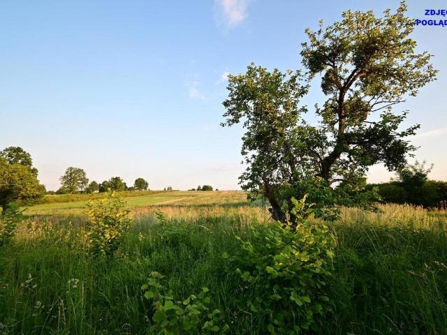 Grunt na sprzedaż w Nałęczów, Lubelskie