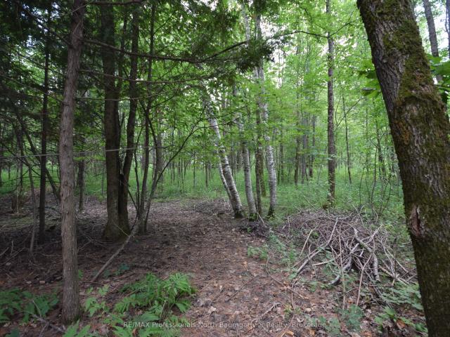 Land for sale in Algonquin Highlands, Ontario