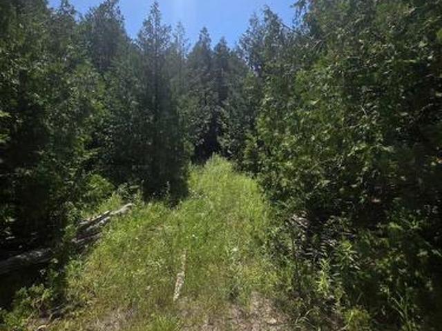 Land for sale in Northeastern Manitoulin, Ontario