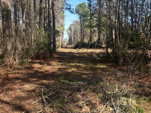 Land for sale in Saint Stephen, South Carolina