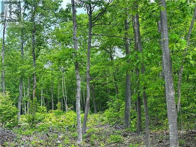 Land for sale in Northeastern Manitoulin, Ontario
