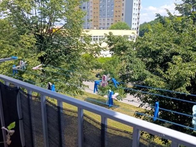Mieszkanie do wynajęcia w Ruda Śląska, Śląskie