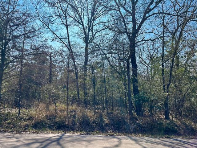 Land for sale in Limestone, Texas