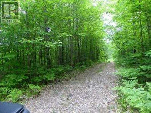 Land for sale in Muskoka, Ontario