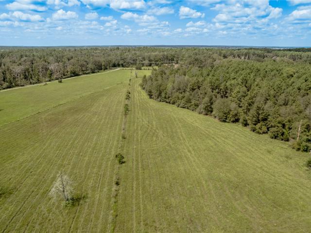 Land for sale in Centerville, Groveton