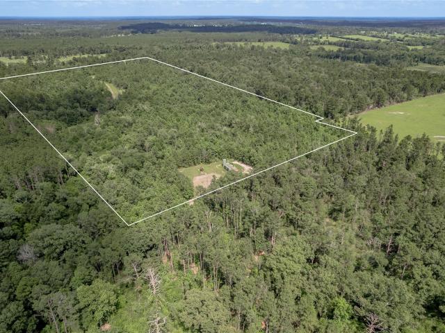 Land for sale in Groveton, Texas