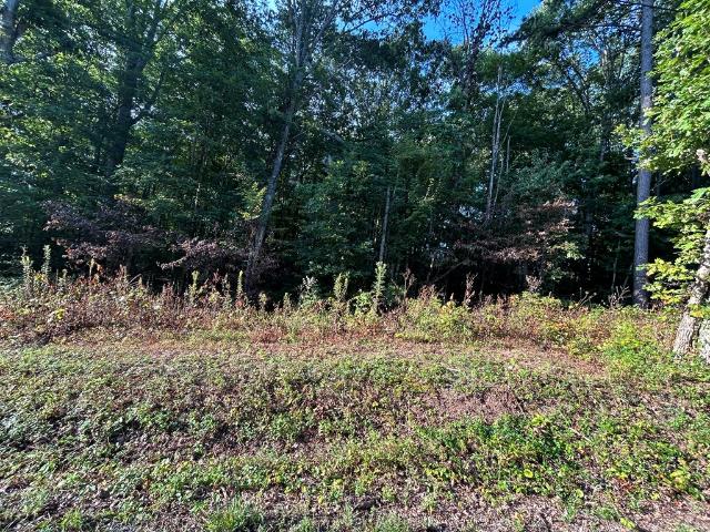 Land for sale in Tennessee