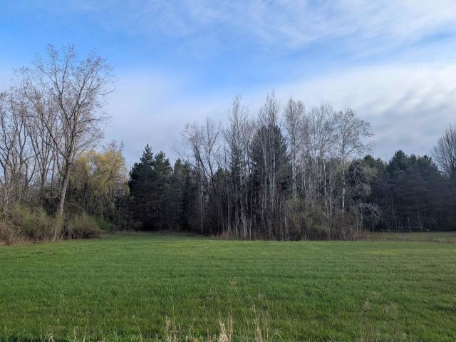 Land for sale in Omer, Michigan