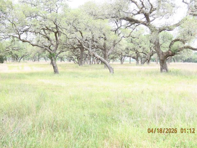 Farm for sale in Columbus, Colorado County