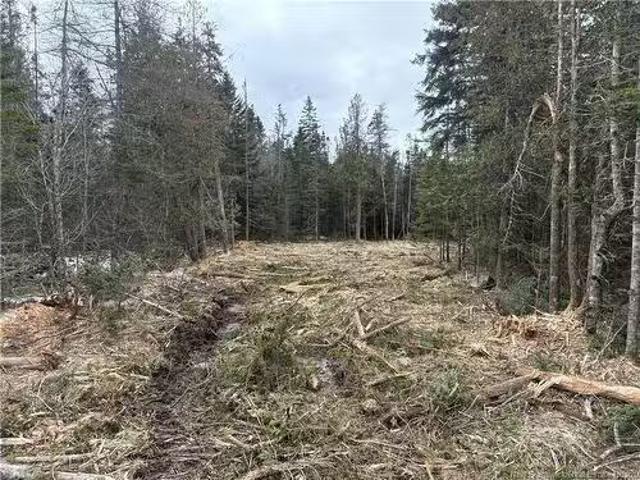 House for sale in Dipper Harbour, New Brunswick