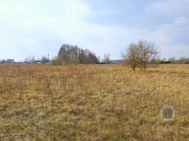 Grunt na sprzedaż w Krupczyn, Deszczno