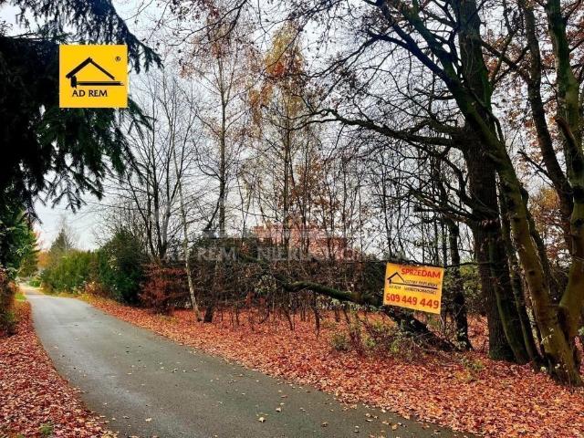 Grunt na sprzedaż w Kozubszczyzna, Lubelskie