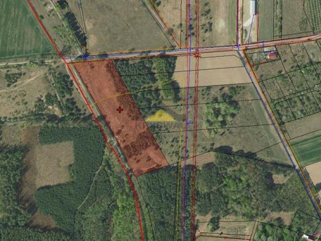 Grunt na sprzedaż w Gorzów Wielkopolski, Lubuskie
