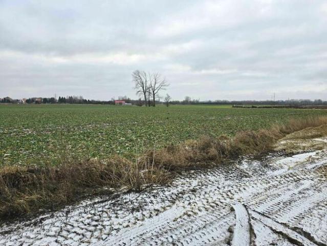 Grunt na sprzedaż w Głogów, Dolnośląskie