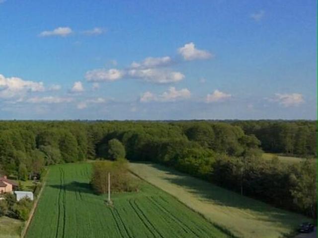 Grunt na sprzedaż w Słupca, Wielkopolskie