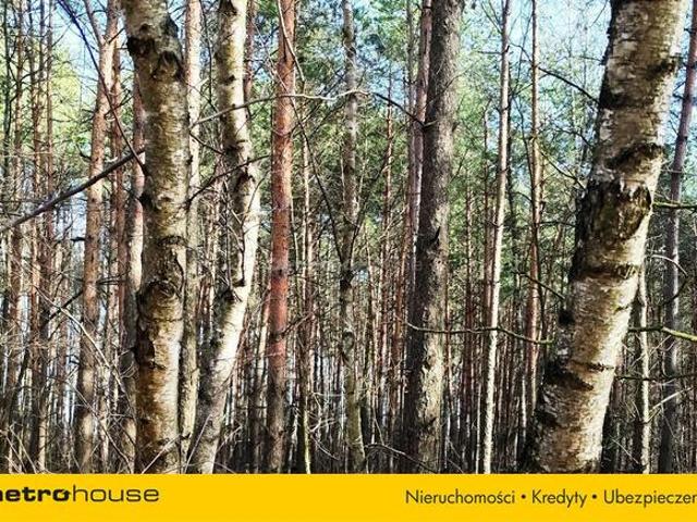 Grunt na sprzedaż w Stupsk, powiat mławski