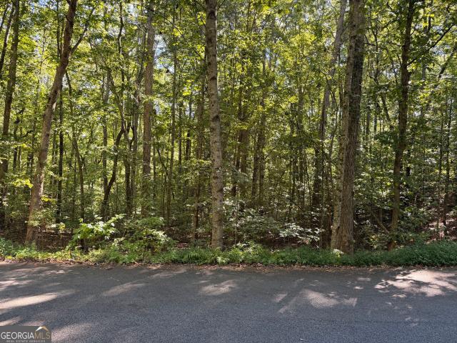 Land for sale in Blairsville, Union County