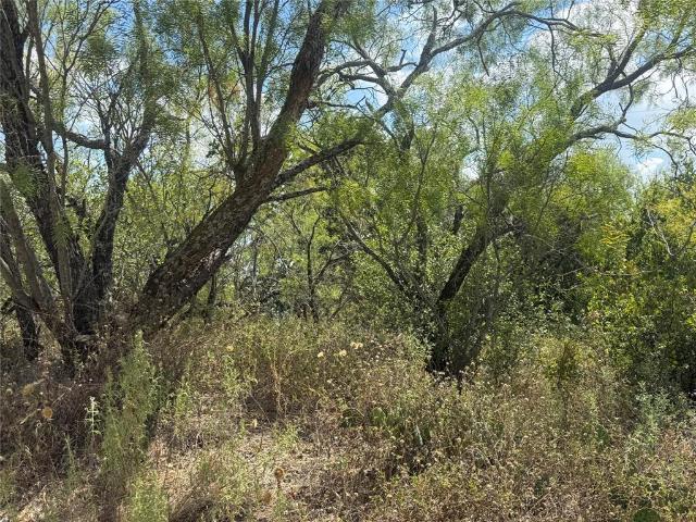 Land for sale in Shamrock Shores, Brownwood
