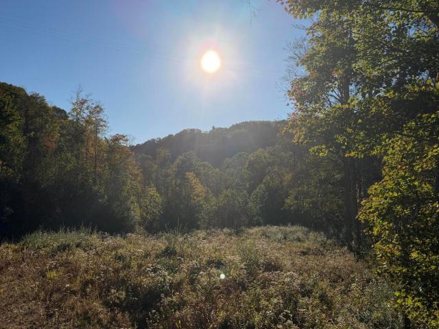 Land for sale in Wise, Wise County