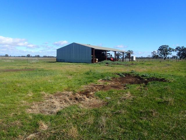 Cottage for sale in Collendina, New South Wales