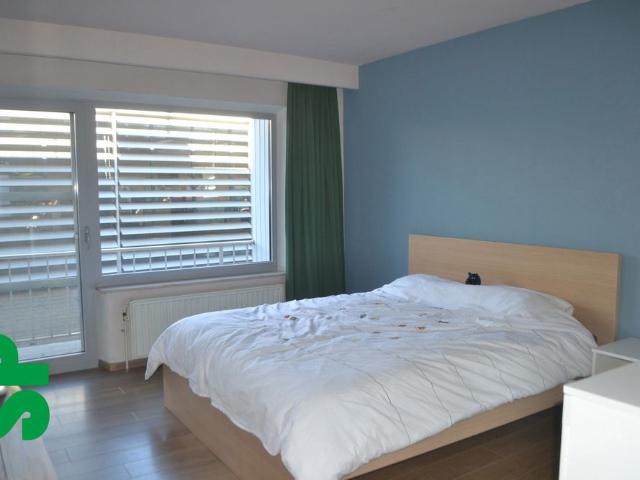 Appartement location à Herentals, Antwerpen