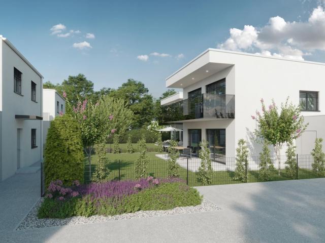 Haus kaufen in Rappottenstein, Niederösterreich