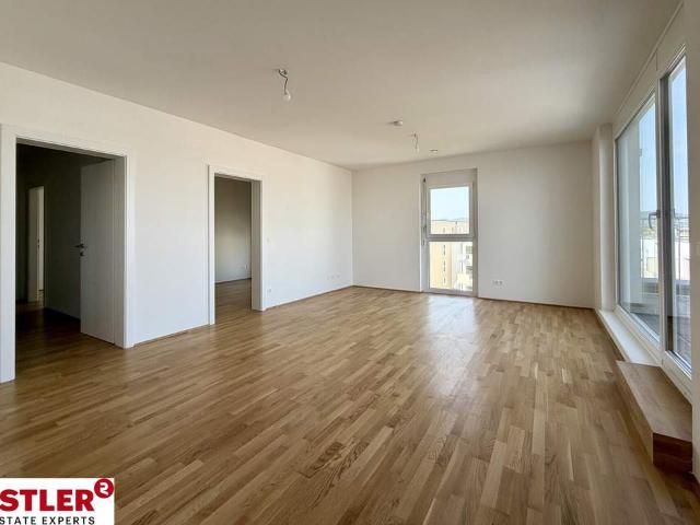 Wohnung kaufen in Mödling, Bezirk Mödling