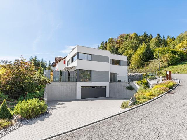 Haus kaufen in Fridlingen, Mosnang