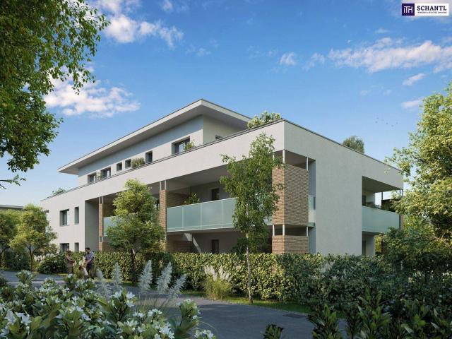 Apartment kaufen in Liebenau, Gersdorf-Feistritz