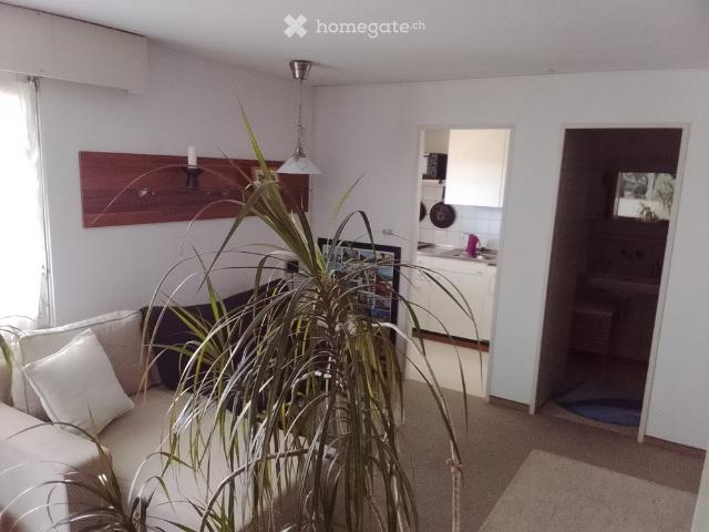 Apartment mieten in Zwislen, Gais