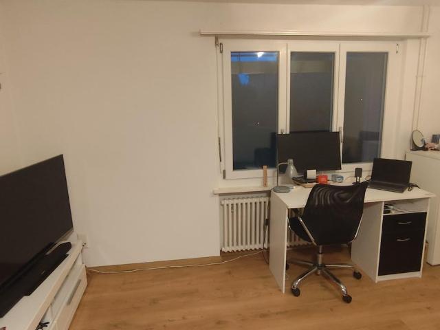 Apartment mieten in Scherzingen, Münsterlingen
