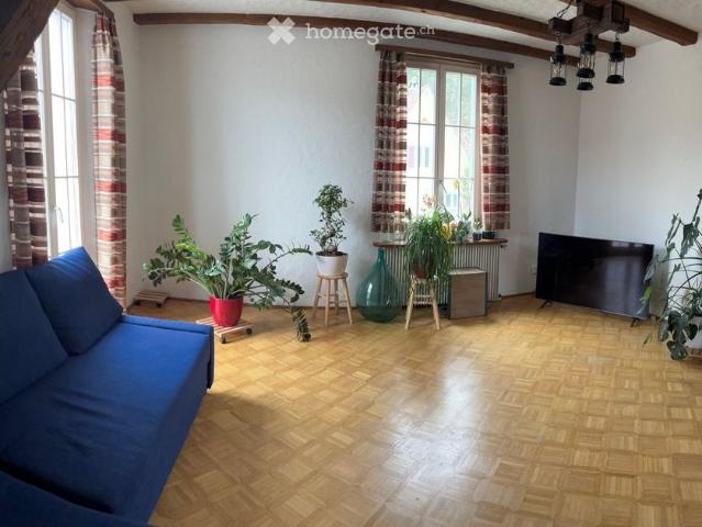 Apartment mieten in Allmend, Baden