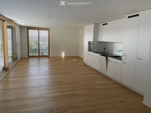 Apartment mieten in Frohberg, Richterswil
