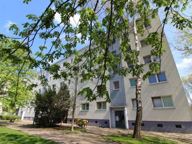 Wohnung mieten in Neustadt, Halle