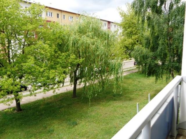 Wohnung mieten in Neuendorfer Vorstadt, Brandenburg