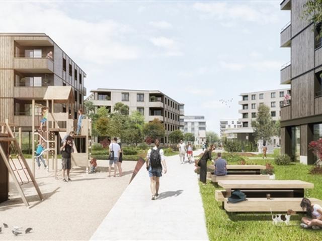 Wohnung mieten in Orbe, Waadt