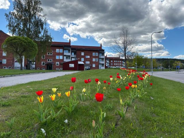 Lägenhet hyra i Sundsvall, Västernorrland