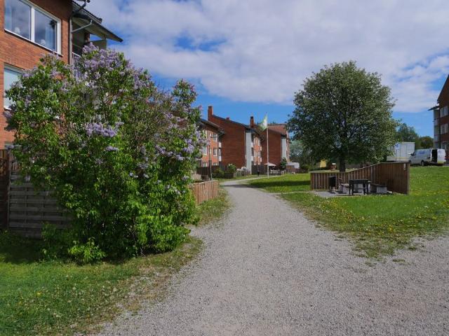 Lägenhet hyra i Sundsvall, Västernorrland