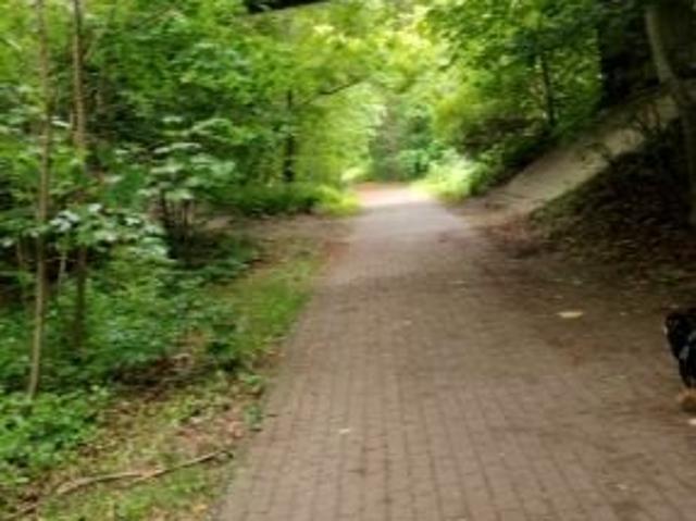 Grunt na sprzedaż w Skarszewy, Pomorskie