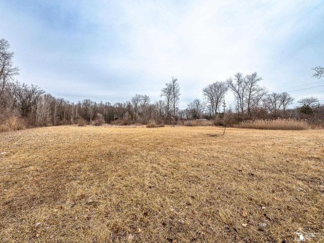 Land for sale in Newport, Michigan