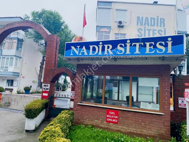 Yalova Merkez, Yalova içerisinde kiralık mülk