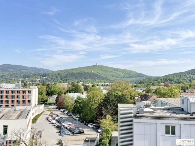 Apartment kaufen in Baden, Niederösterreich