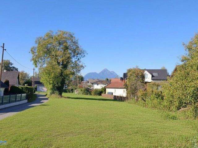 Immobilie kaufen in Leopoldskroner Moos, Salzburg