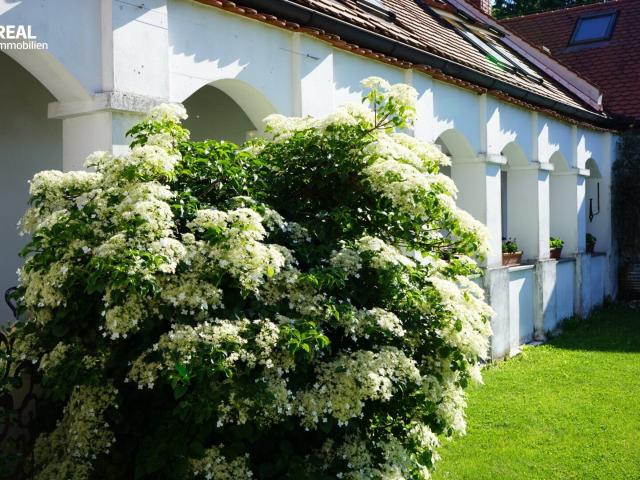 Haus kaufen in Deutsch Kaltenbrunn