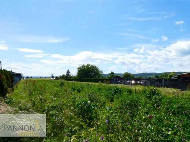 Grundstück kaufen in Pürbach, Burgenland