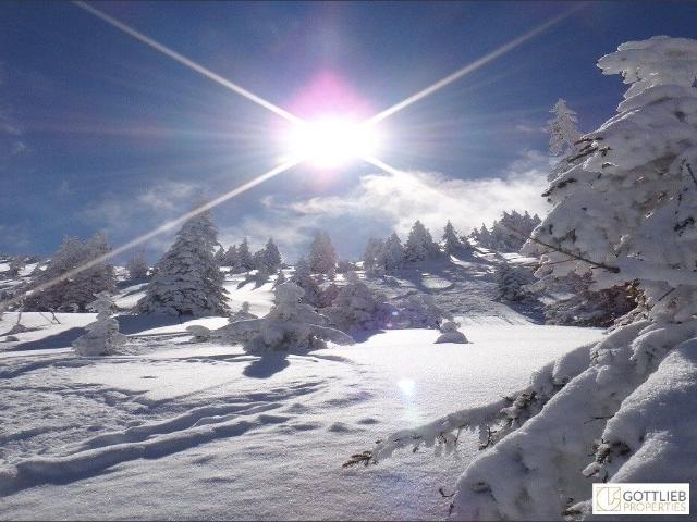 Wohnung kaufen in Kirchberg in Tirol, Tirol