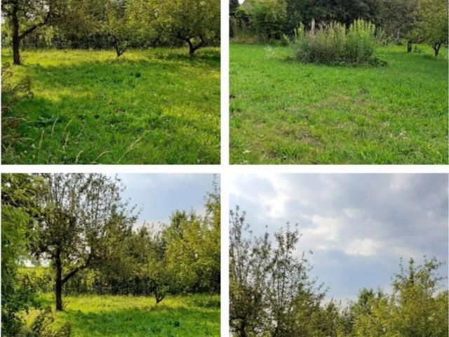 Grundstück kaufen in Wilhering, Oberösterreich